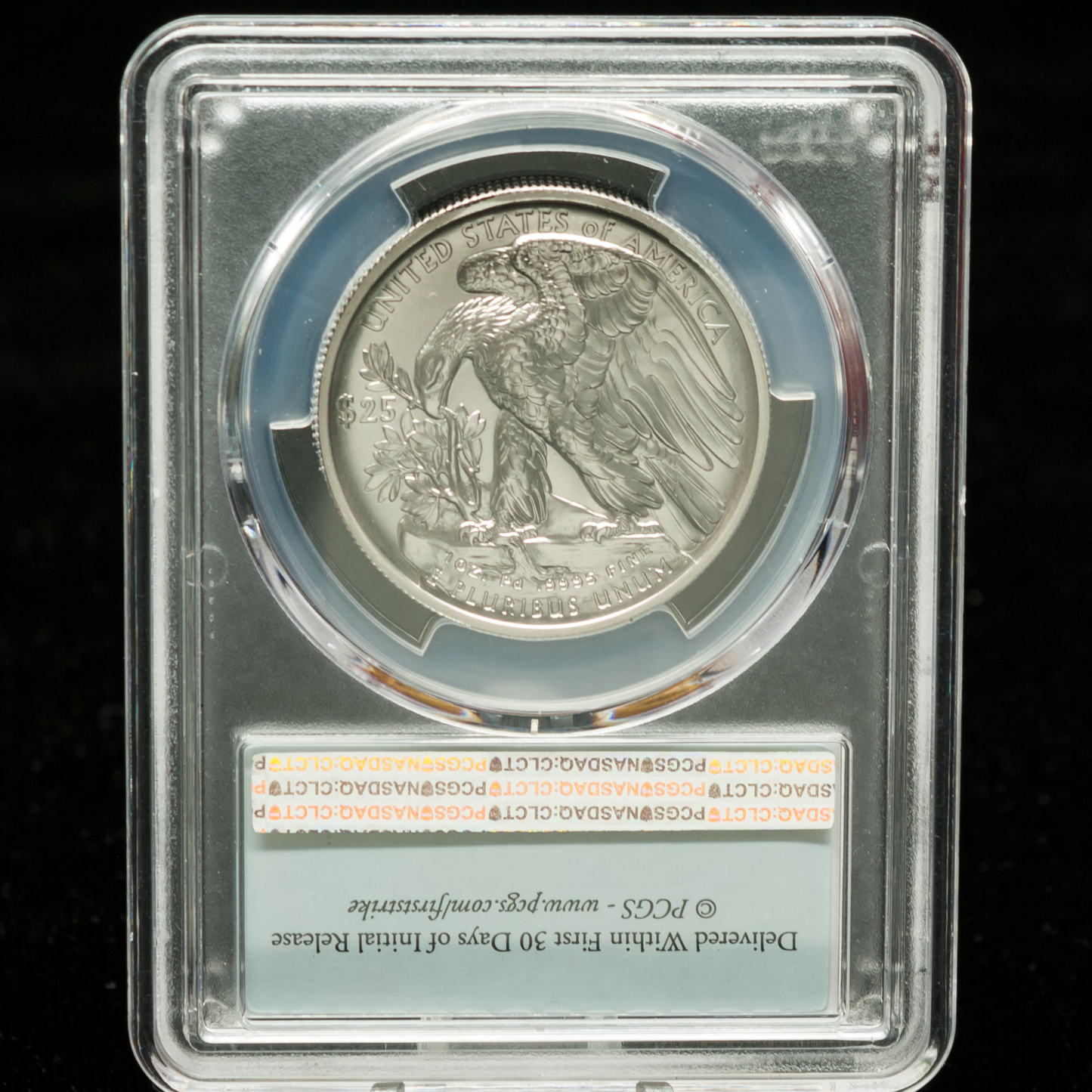 Palladium American Eagle 1 ounce coin, reverse